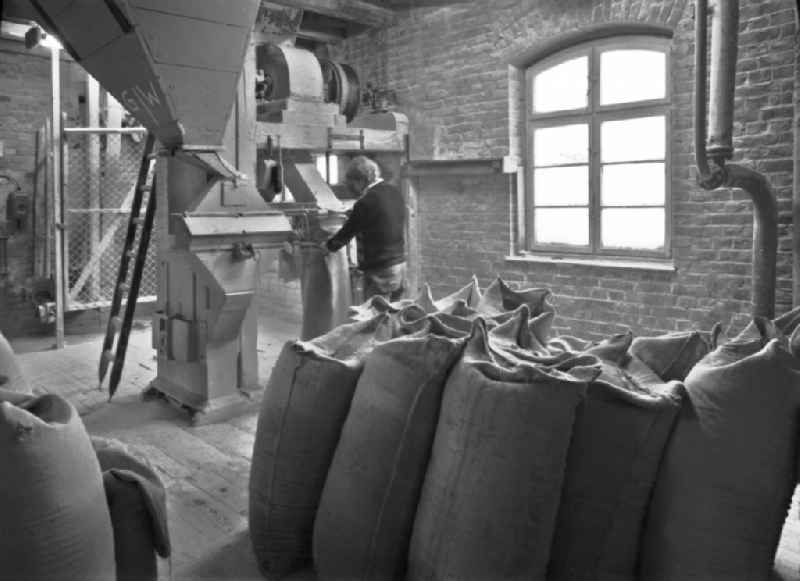 Production line and workplaces in the beverage production factory ' WBB Willner Brauerei ' on street Berliner Strasse in the district Pankow in Berlin Eastberlin on the territory of the former GDR, German Democratic Republic