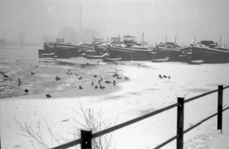 Anchor ships and barges of the Binnenrede sedery in the Rummelsburger Bay in Berlin in the GDR
