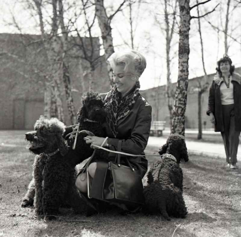 Christine Laszar, actress, with poodle in the park in the territory of the former GDR, German Democratic Republic