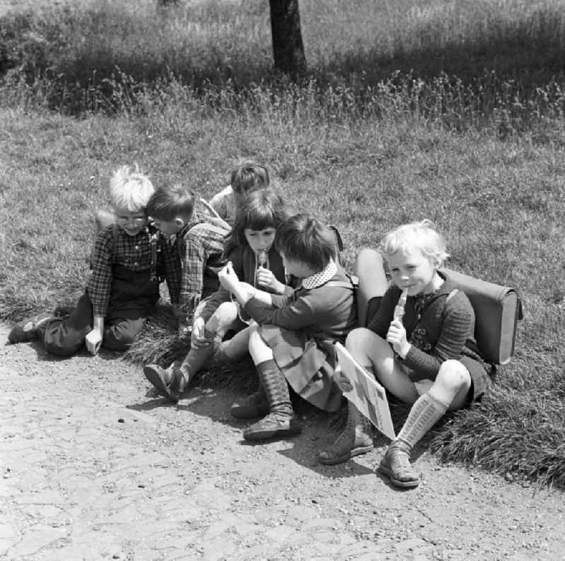 A group of children to and from school back home in Berlin - Köpenick