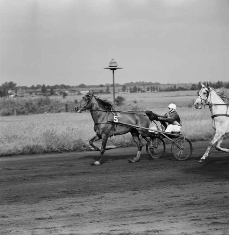 Horse racing at the racetrack Karlshorst with driver in the sulky. The trotting Karlshorst is a historic 37-acre resort for horse racing in Berlin's Lichtenberg district, the district of Karlshorst