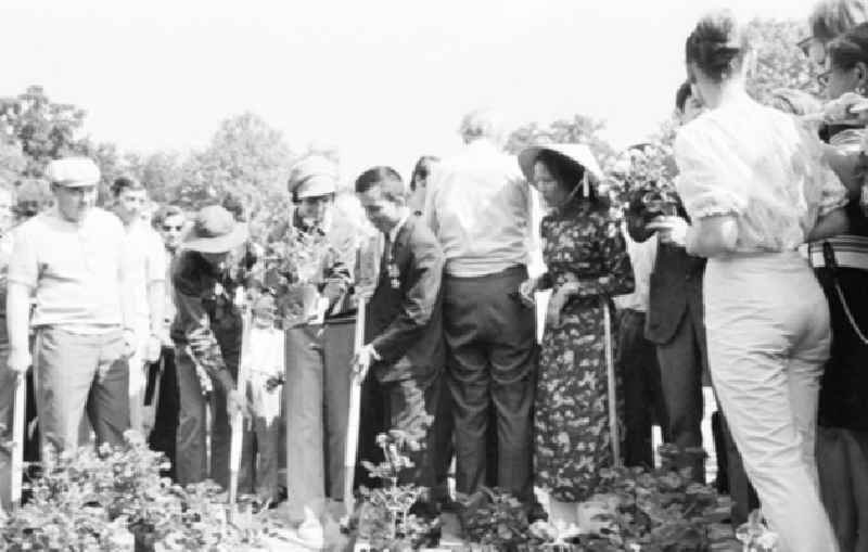 30.07.1973
Berlin - Rosenpflanzen im Treptower Park
1