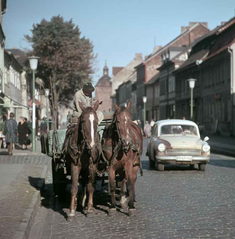Pferdegespann auf einer Straße in Bernau.