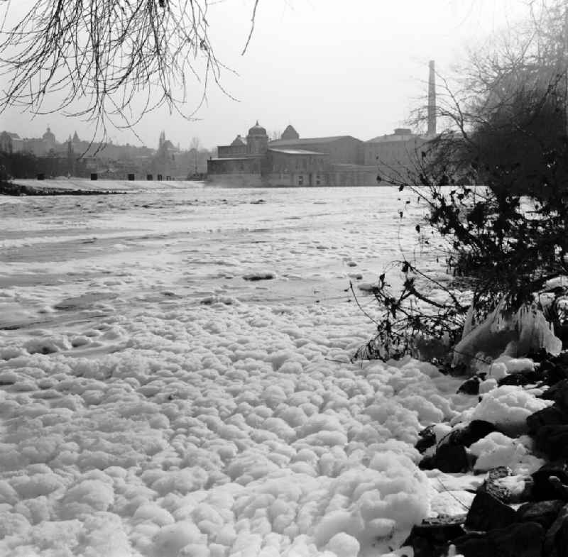 River course and bank areas saale river foam carpet in Bernburg (Saale), Saxony-Anhalt on the territory of the former GDR, German Democratic Republic