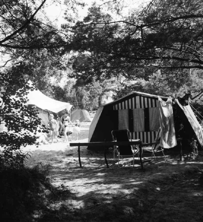 Family holidays at the campsite in Binz district Prora on the island of Ruegen in Mecklenburg-Western Pomerania in the field of the former GDR, German Democratic Republic