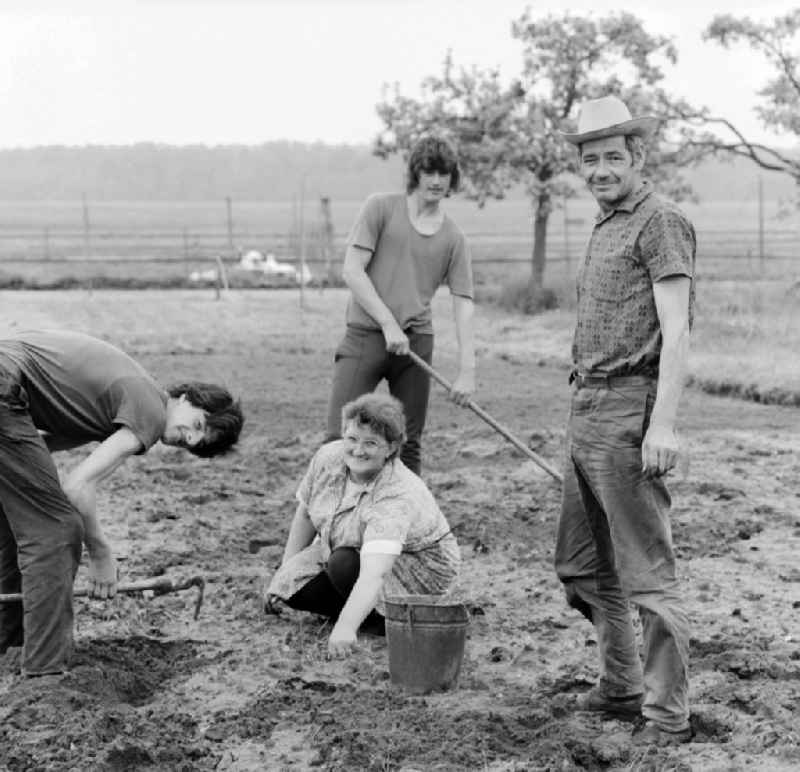 A family in field work in Birkholz in Saxony-Anhalt on the territory of the former GDR, German Democratic Republic