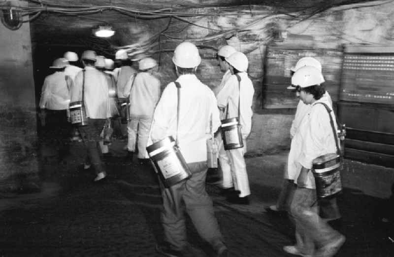 Miners occupy the Bischofferode potash mine in Thuringia to prevent it from closing