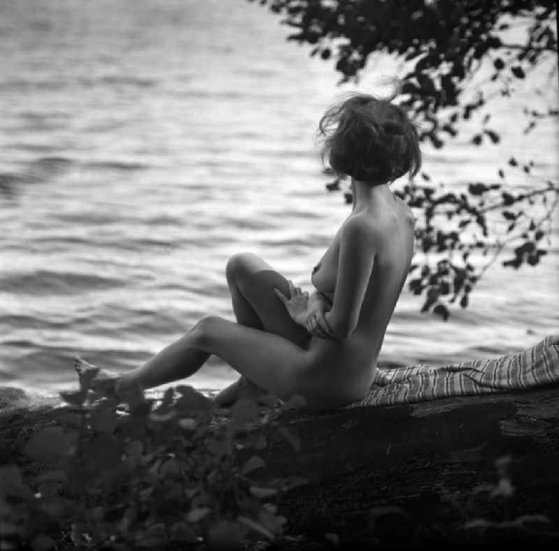 Nude of a young woman in Born am Darss in the state Mecklenburg-Western Pomerania on the territory of the former GDR, German Democratic Republic