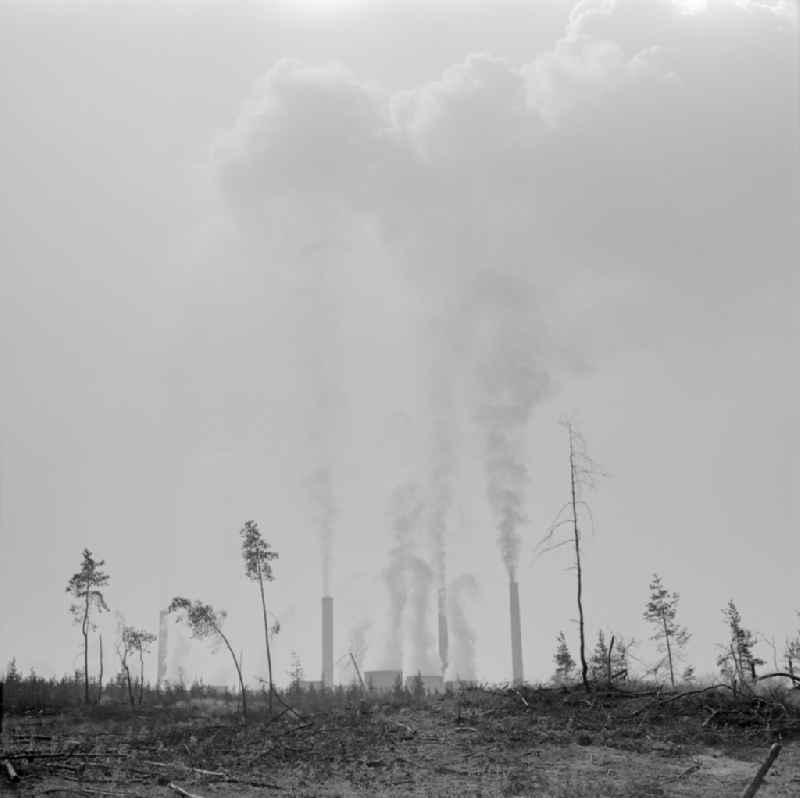 Remains of dying trees from former forest areas in front of the clouds of exhaust gases above the coal-fired power plants from smoking chimneys at the lignite-fired power plant in Boxberg/Oberlausitz, Saxony in the territory of the former GDR, German Democratic Republic