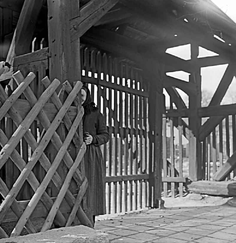 Building of an old historic farmhouse with a Sorbian farmer on a bench in Burg (Spreewald), Brandenburg on the territory of the former GDR, German Democratic Republic