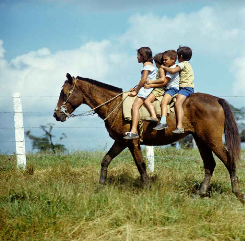 Auf einer kubanischen Rinderzucht-Farm bei Camagüey. Kinder Reiten auf einem Pferd. Cattle breeding / rearing farm near Camagüey - Cuba. Children riding on a horse.