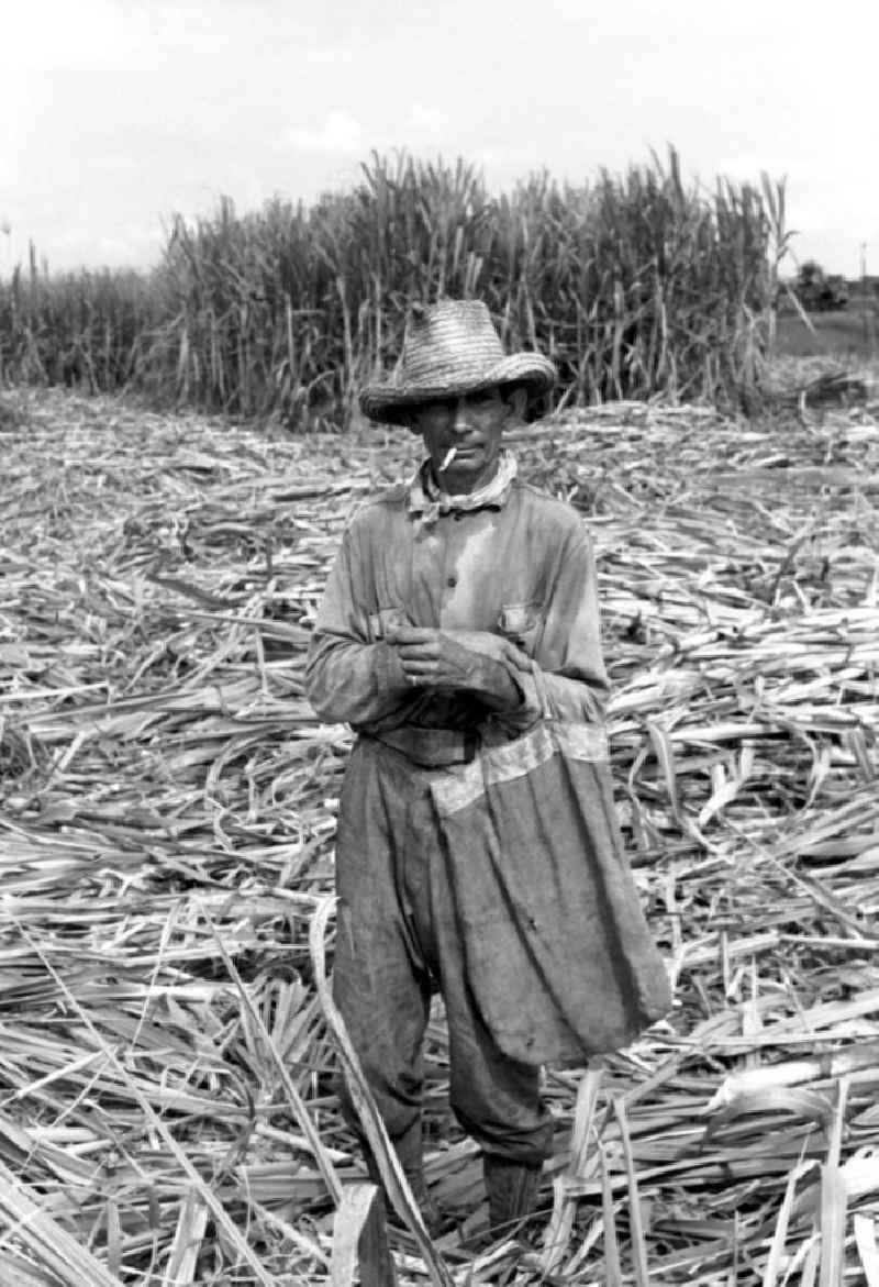Ein Arbeiter während der Zuckerrohrernte, die sogenannte Zafra, in der kubanischen Provinz Camagüey.