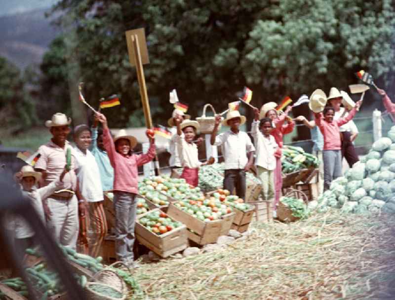 Jubelstrecke der kubanischen Feldarbeiter für den Staats- und Parteivorsitzenden der DDR, Erich Honecker, während seines Staatsbesuches in Kuba. Honecker stattete vom 2