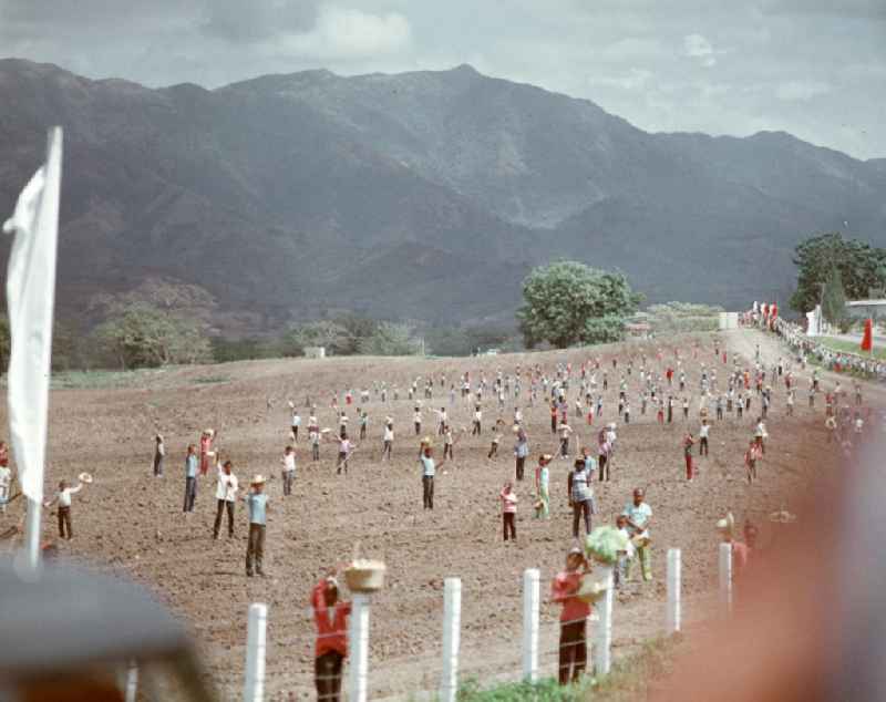 Jubelstrecke der kubanischen Feldarbeiter für den Staats- und Parteivorsitzenden der DDR, Erich Honecker, während seines Staatsbesuches in Kuba. Honecker stattete vom 2