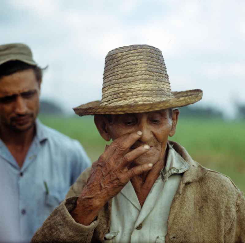 Die Zuckerrohrernte - die sogenannte Zafra - erfolgt in Kuba noch meist auf traditionelle Weise, hier ein Arbeiter einer Zuckerrohrplantage. Sugar cane harvest, the so-called Zafra, in Cuba.