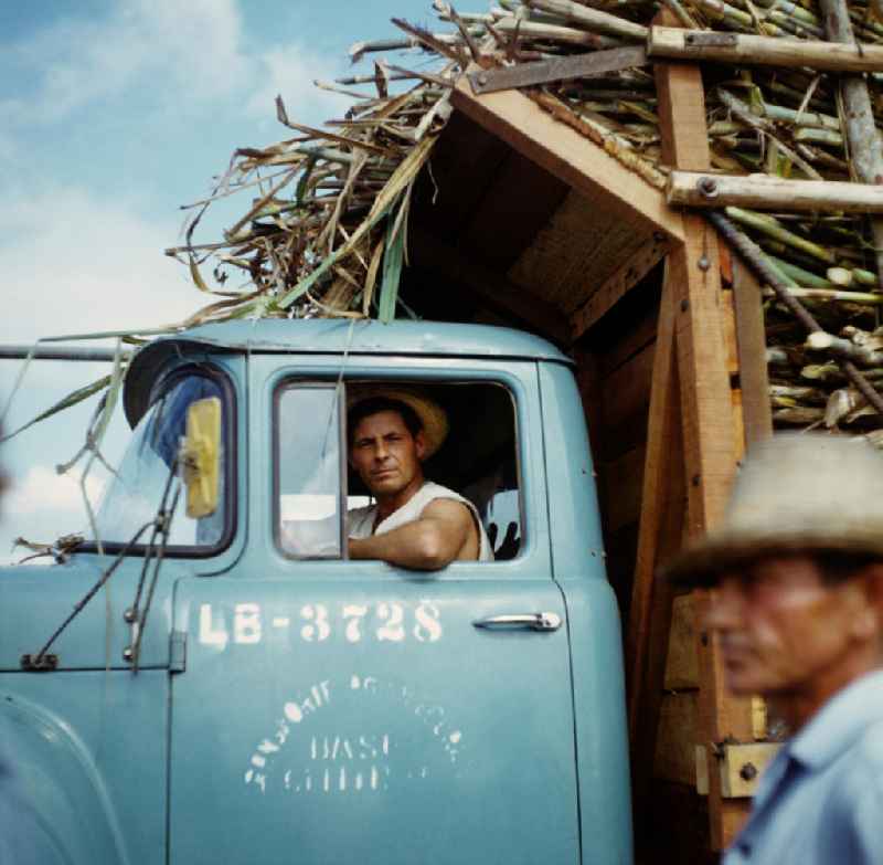 Die Zuckerrohrernte - die sogenannte Zafra - erfolgt in Kuba noch meist auf traditionelle Weise, hier ein mit Zuckerrohr vollbeladener Transporter. Sugar cane harvest, the so-called Zafra, in Cuba.