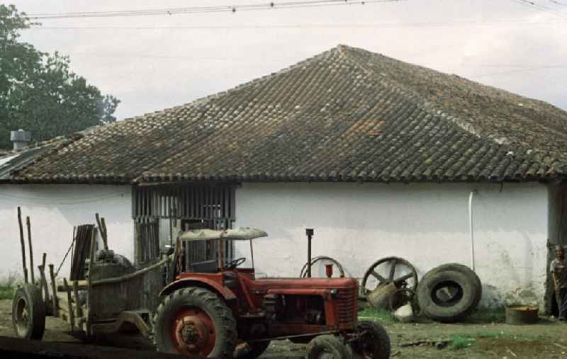 Blick auf eine Plantage nahe der Zuckerfabrik in Cienfuegos. In den 60er und 7