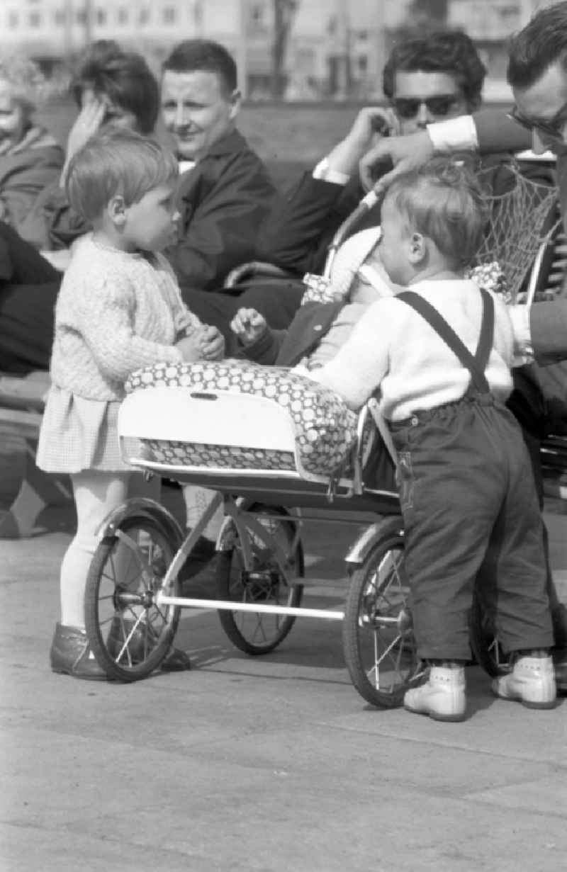 Two little kids are curious to a stroller in the city park in Dessau in Saxony - Anhalt
