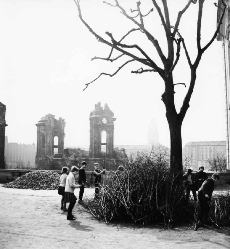 Ruins of the Frauenkirche in Dresden in Saxony. In the foreground children gather sticks together
