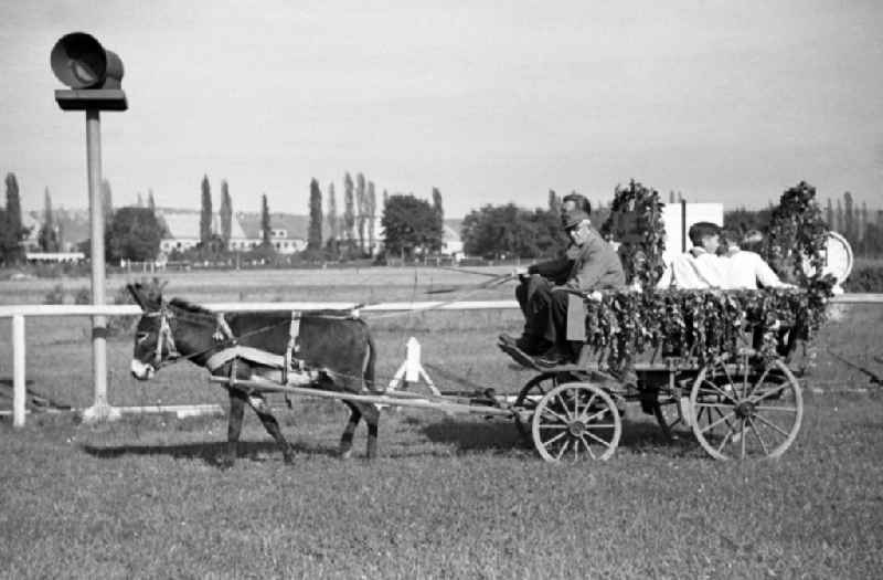 Harvest wagon at the Dresden racecourse in Seidnitz in the federal state Saxony on the territory of the former GDR, German Democratic Republic
