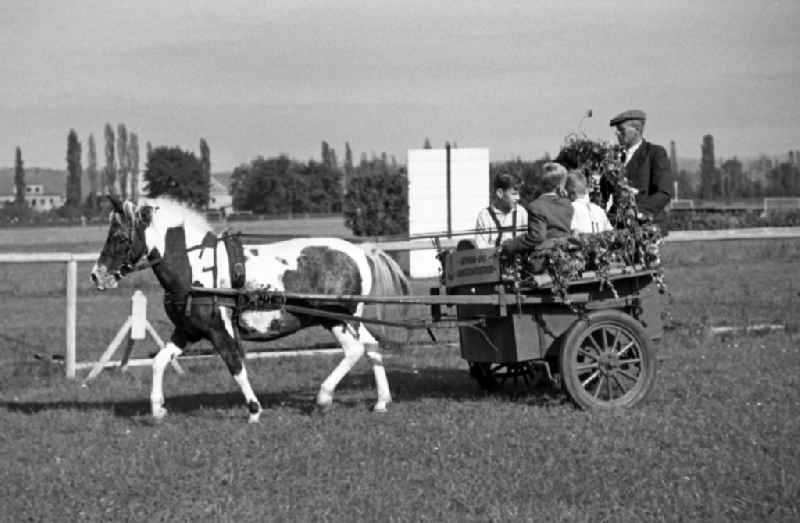 Harvest wagon parade of horticultural and agricultural enterprises on the grounds of the Dresden-Seidnitz racecourse in Dresden in the state Saxony on the territory of the former GDR, German Democratic Republic