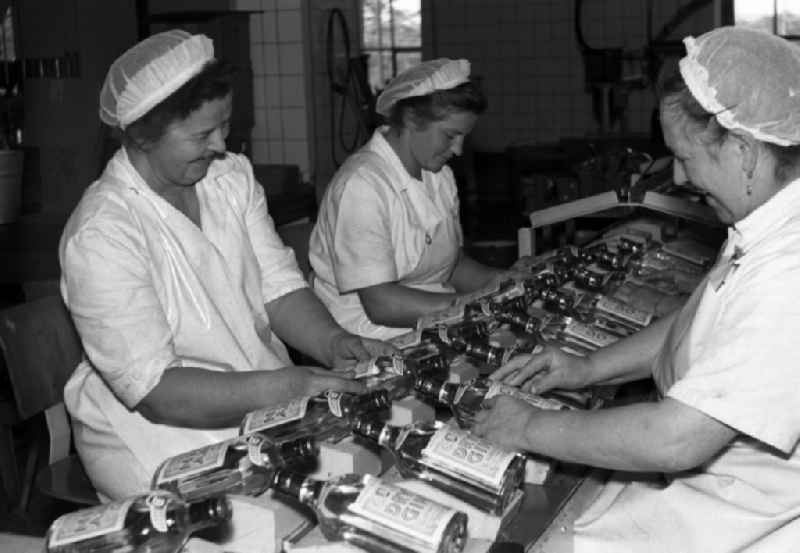 Female workers on the assembly line of the VEB nationally owned enterprise Bramsch spirits factory in Dresden in the state Saxony on the territory of the former GDR, German Democratic Republic. Employees stick labels on bottles for gin