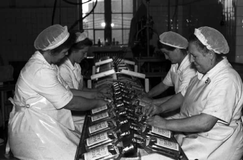 Female workers on the assembly line of the VEB nationally owned enterprise Bramsch spirits factory in Dresden in the state Saxony on the territory of the former GDR, German Democratic Republic. Employees stick labels on bottles for gin
