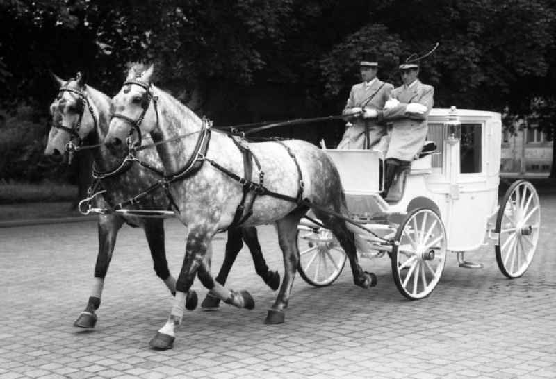 Wedding carriage on a road in Dresden in the state Saxony on the territory of the former GDR, German Democratic Republic