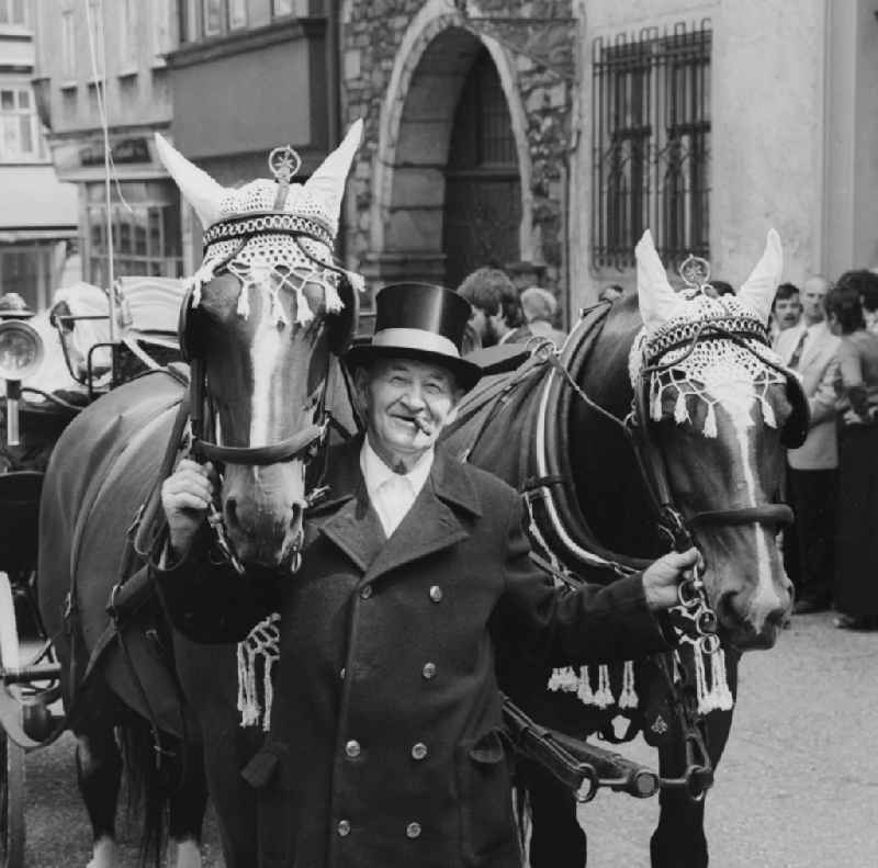 Coachman with two decorated horses in Eisenach in Thuringia in the area of the former GDR, German Democratic Republic