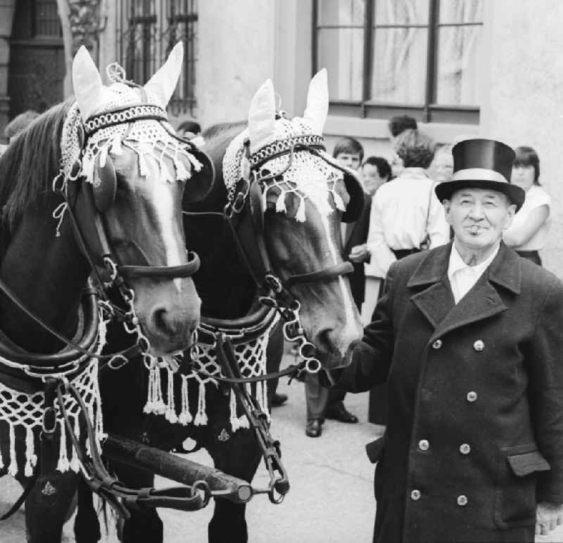 Kutscher with Top Hat and Cigar with two decorated horses in Eisenach in Thuringia in the area of the former GDR, German Democratic Republic