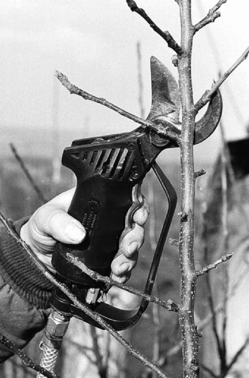 01.02.1982
Pneumatischer Obstbaumschnitt der VEG Eisleben

Umschlagnr.: 10
