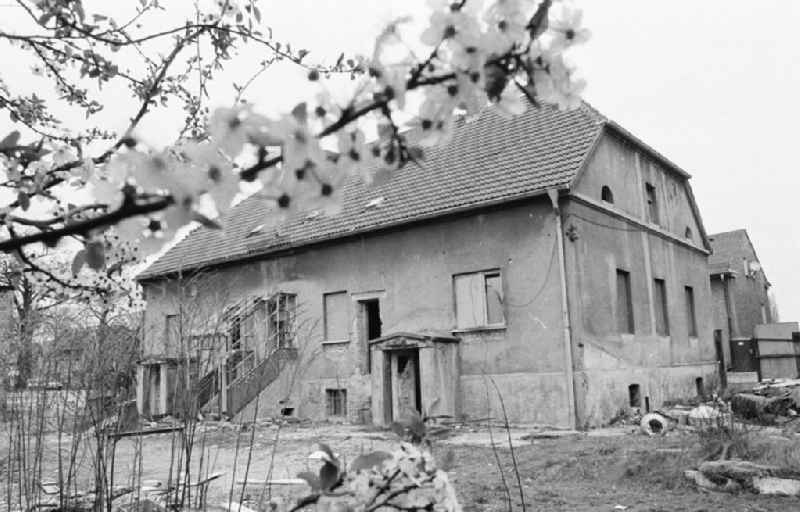 Leerstehendes Haus in Falkenberg
15.