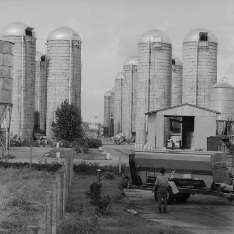 With the VEB (state-owned enterprise) Industrial cattle fattening (IRIMA) was the end of the period of industrialization of agriculture in the GDR, in Ferdinandshof the largest cattle fattening system in Europe, which as GbmH in Mecklenburg Western Pomerania has still existed until today