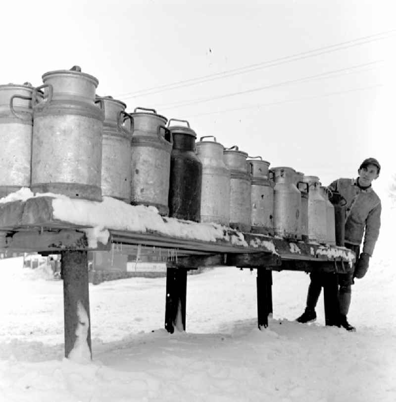 Delivery of everyday goods from drinking milk in milk cans made of aluminum from a truck Lorry on Dorfstrasse in Fienstedt in the state of Saxony-Anhalt in the area of ??the former GDR, German Democratic Republic