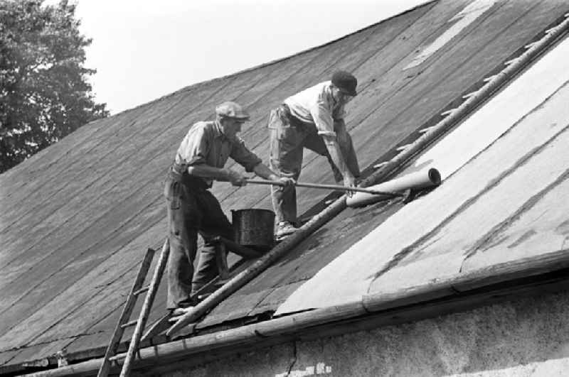 Zwei Männer teeren das Dach eines Hauses in Freiberg im Erzgebirge und verlegen Dachpappe.