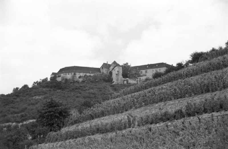 Blick auf das Schloss Neuenburg in Freyburg an der Unstrut. An den Kalkhängen des Weinanbaugebiets gediehen der Müller-Thurgau, der Traminer und andere Weinsorten. Den größten Bekanntheits- und Beliebtheitsgrad hatte in der DDR jedoch der Rotkäppchen-Sekt, dessen Herstellung in Freyburg auf eine lange Tradition zurückblicken kann.