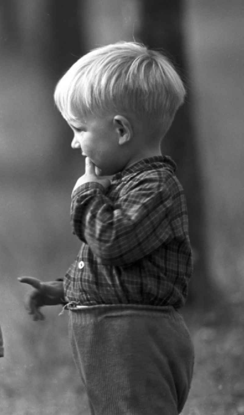 Ein kleiner Junge auf einem Feld in der Nähe von Freyburg.
