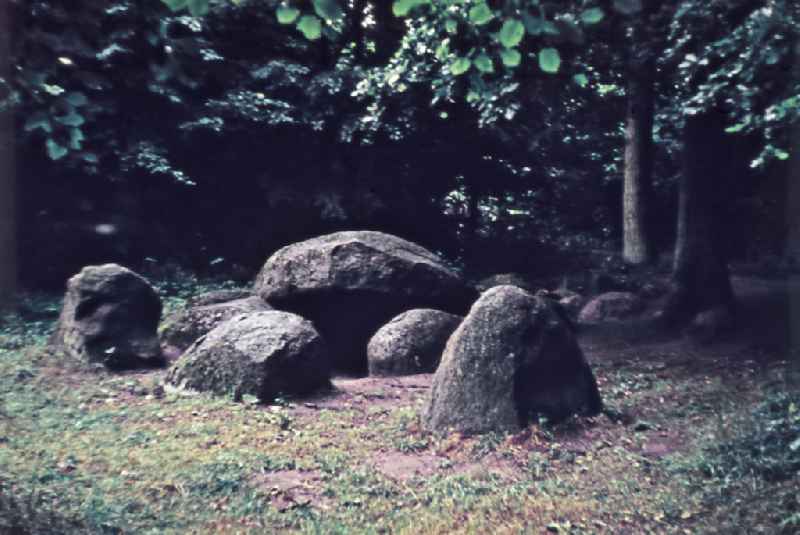 A grave in the forest in Garz/Ruegen in the GDR