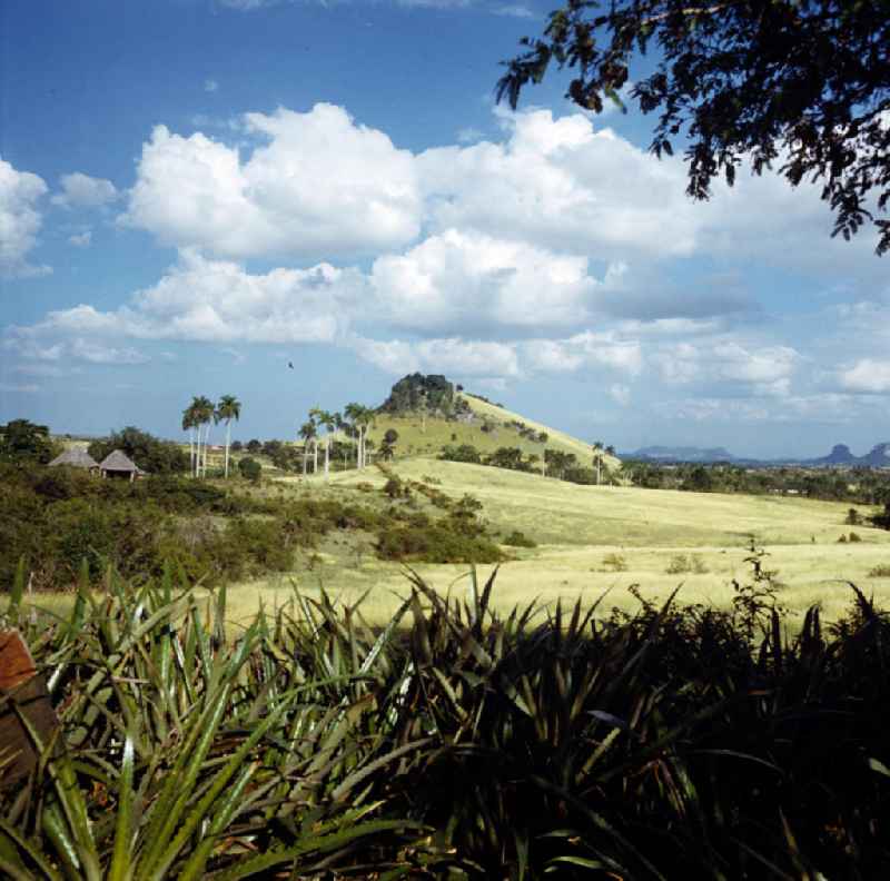 Landschaft in der Nähe von Gibara in Kuba.