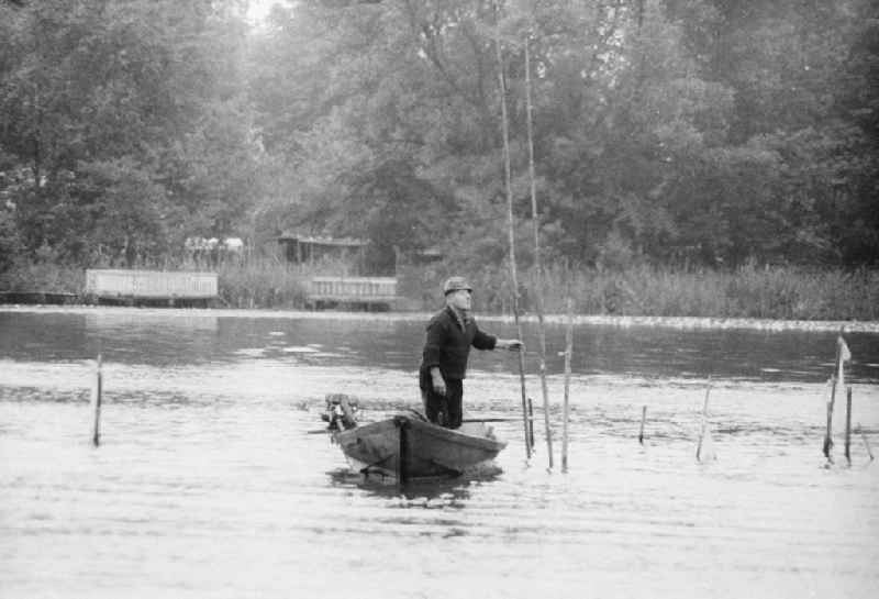 Man by boat with fish on the Stoeritzsee in green moor (mark) in the federal state Brandenburg in the area of the former GDR, German democratic republic