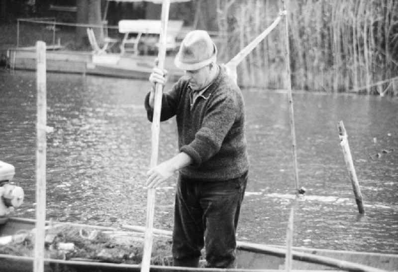 Man by boat with fish on the Stoeritzsee in green moor (mark) in the federal state Brandenburg in the area of the former GDR, German democratic republic