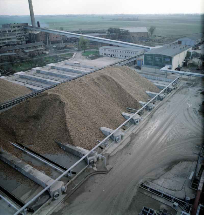 Lagerung von Zuckerrüben auf dem Hof der VEB / Volkseigener Betrieb Zuckerrübenfabrik Güstrow, heute im Besitz der Nordzucker AG. Die Fabrik gehörte zu den modernsten und leistungsfähigsten Betrieb in der DDR. Die Inbetriebnahme erfolgte im Oktober 1962.