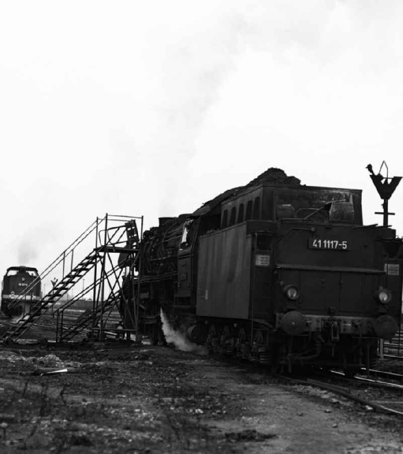 Steam locomotives - operating by Deutsche Reichsbahn - series 41 117-5 in Halberstadt in the state Saxony-Anhalt on the territory of the former GDR, German Democratic Republic