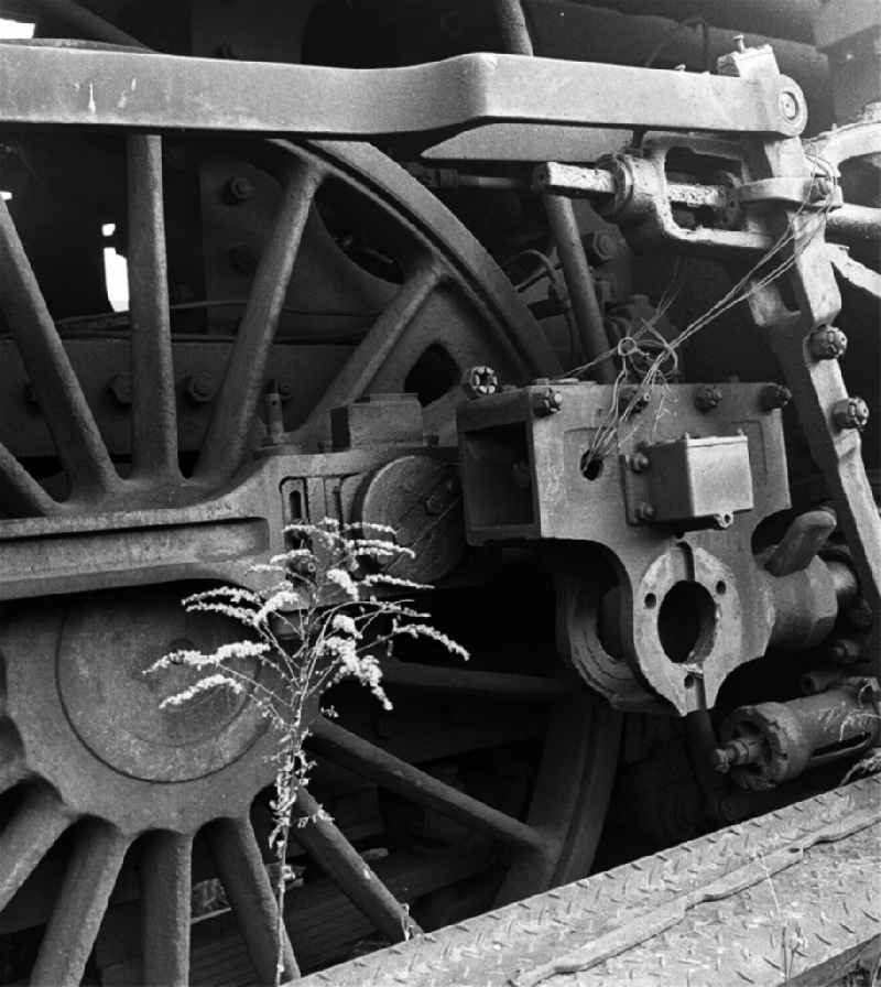 Driving wheel of a decommissioned and decommissioned steam locomotive of the Deutsche Reichsbahn of the class 22 with dismantled driving rod in the depot in Halberstadt in the state Saxony-Anhalt in the area of the former GDR, German Democratic Republic