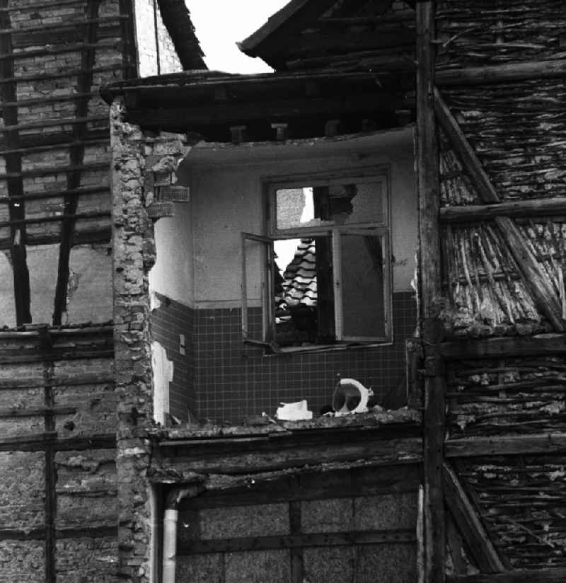 Rubble and ruins Rest of the facade and roof structure of the half-timbered house with open toilet - bathroom front in Halberstadt in the state Saxony-Anhalt on the territory of the former GDR, German Democratic Republic