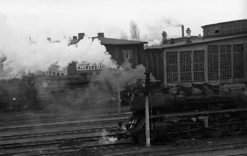 Lokomotive 50 36
