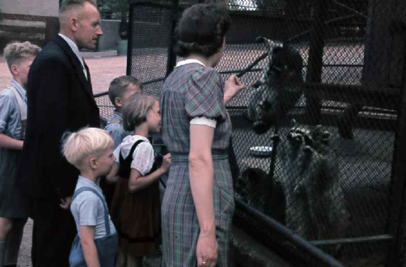 Besucher stehen vor dem Gehege der Waschbären. Visitors stand in front of the Raccoon enclosure.