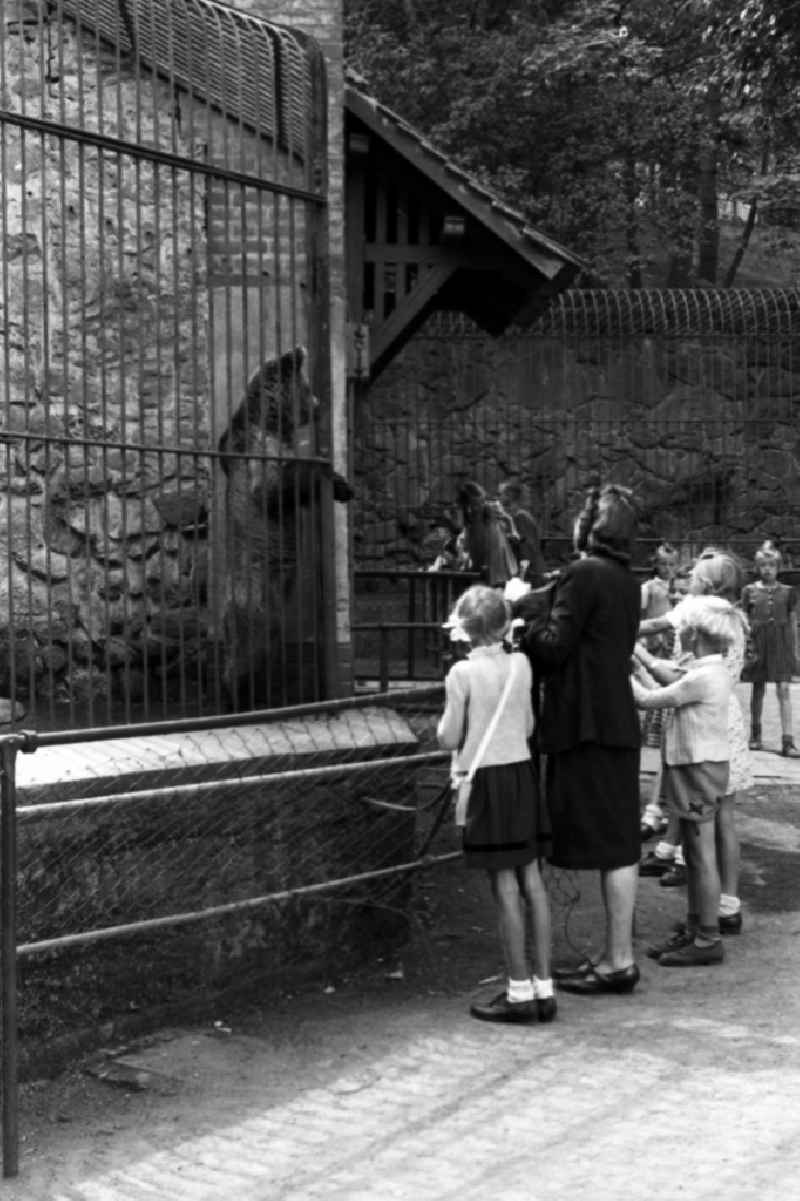Family excursion to the animal park in Halle (Saale) in the federal state Saxony-Anhalt in the area of the former GDR, German democratic republic. A mother stands with her children before the enclosure of the brown bears