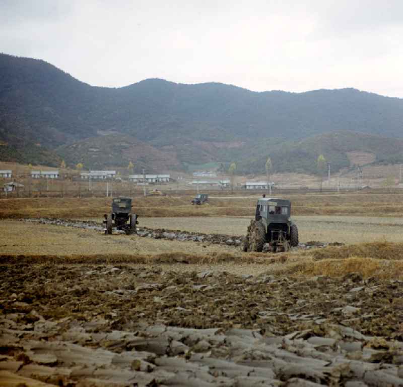 Traktoren fahren über ein Feld in der Landwirtschaftlichen Produktionsgenossenschaft (LPG) nahe der Hafenstadt Hamhung in der Koreanischen Demokratischen Volksrepublik KDVR.