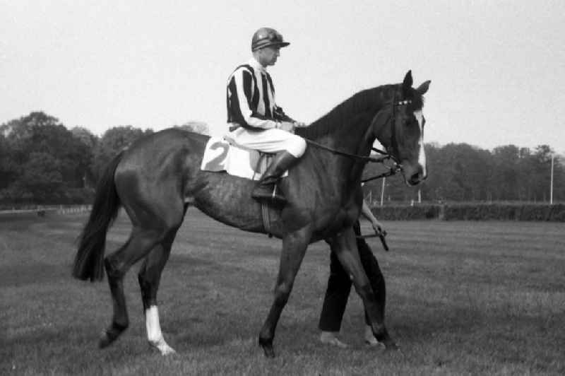 Amatia with Egon Czaplewski after winning the Kincsem race at Hoppegarten racecourse in the state Brandenburg on the territory of the former GDR, German Democratic Republic